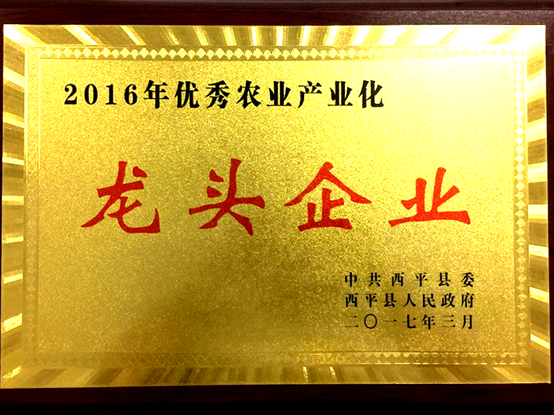 龍頭企業(yè)