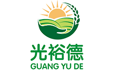某某機(jī)械軸承科技有限公司